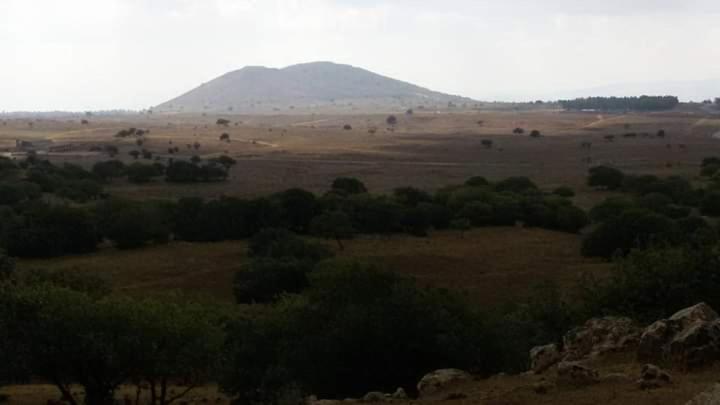 יער האלונים Ein Zivan Exterior foto